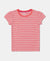 Super Combed Cotton Elastane Rib Striped Short Sleeve T-Shirt - Dubarry & White-1