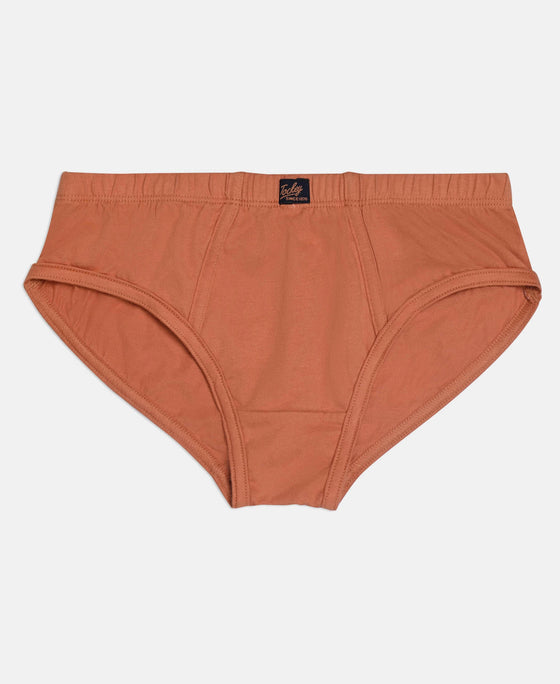 Super Combed Cotton Solid Brief with Ultrasoft Waistband - Sleet, Black & Raw Sienna (Pack of 3)