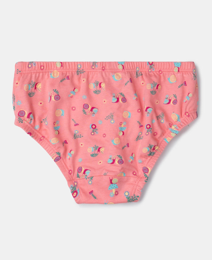 Super Combed Cotton Printed Panty with Ultrasoft Waistband - Fairy Tale, Salmon Rose & Blue Depths (Pack of 3)