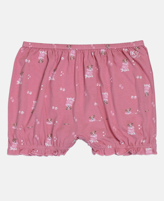 Super Combed Cotton Bloomers with Ultrasoft Waistband - Mellow Rose, Heirloom Lilac & Wild Rose (Pack of 3)