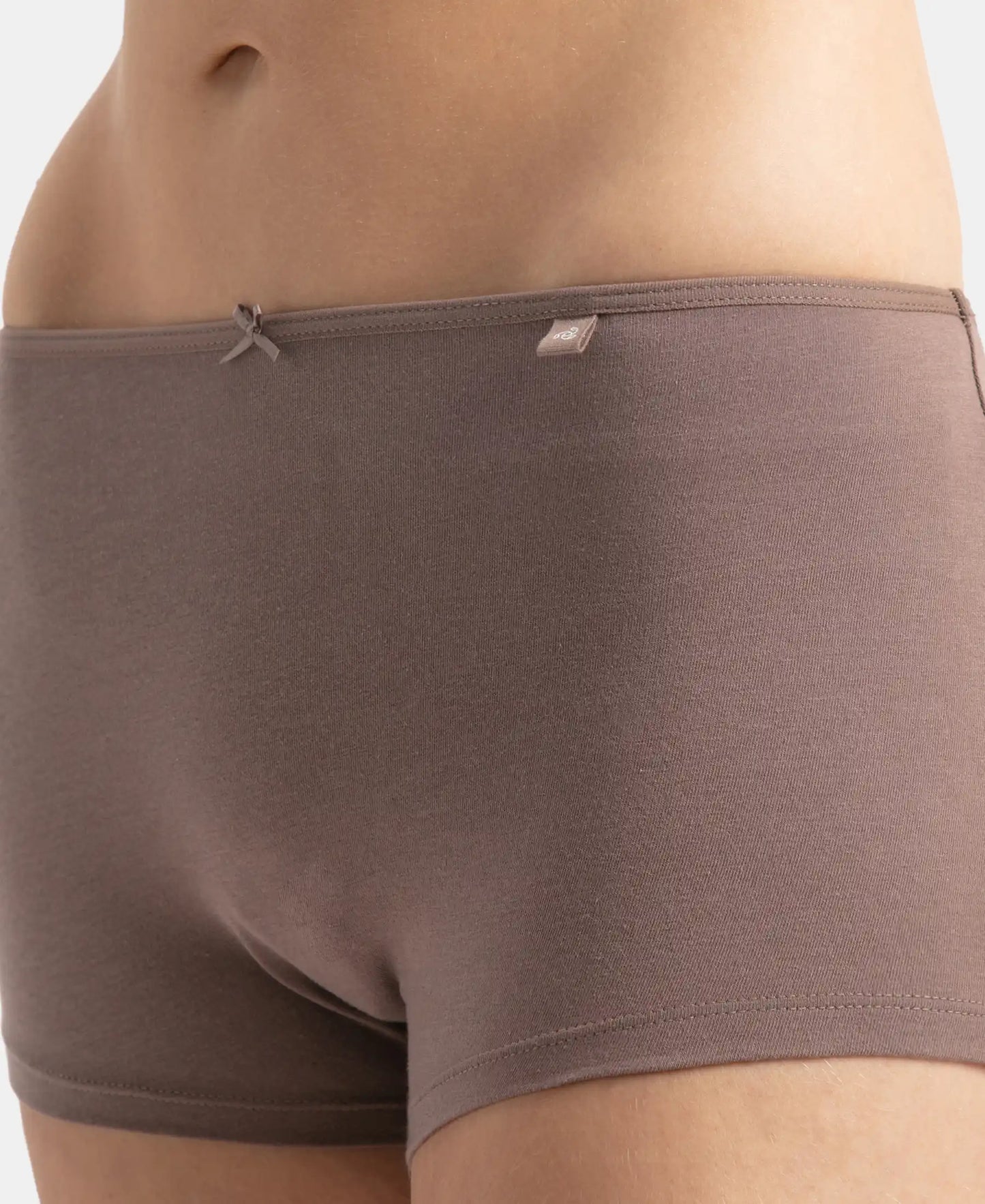 High Coverage Super Combed Cotton Elastane Stretch Boy Leg With Concealed Waistband and StayFresh Treatment - Deep Taupe